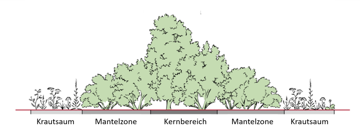 Hecke/Grundlagen Biodivers
